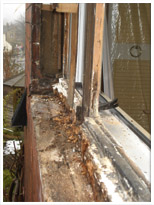 Sash Window Repairs